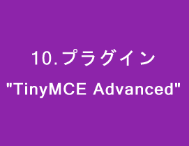 プラグインTinyMCE Advanced