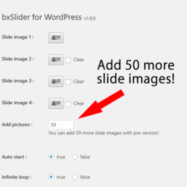 bxSlider for WordPress Plus